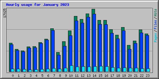 Hourly usage for January 2023